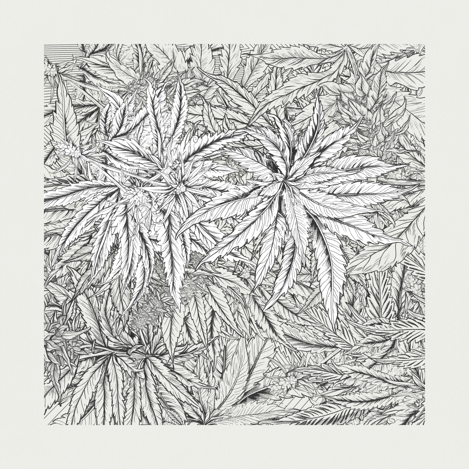 zancannabis #9 static token preview