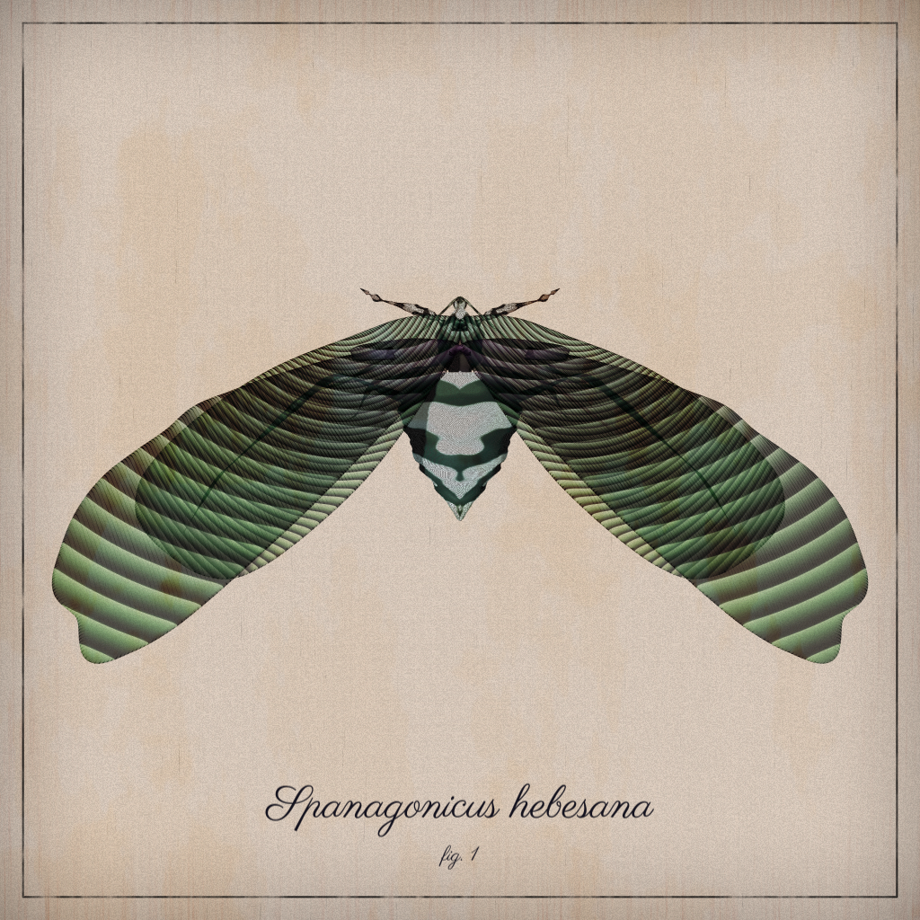 ProcGen Entomology #9 static token preview