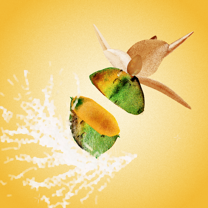 Fresh Fruit #11 static token preview