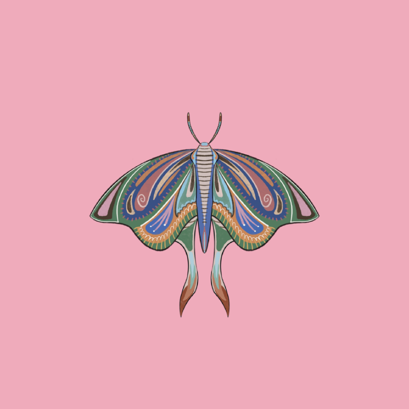 The Moth Experiment 2.0 P2 #9 static token preview