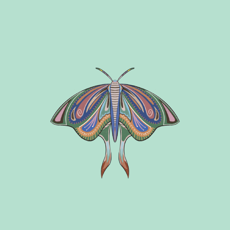 The Moth Experiment 2.0 P1 #2 static token preview