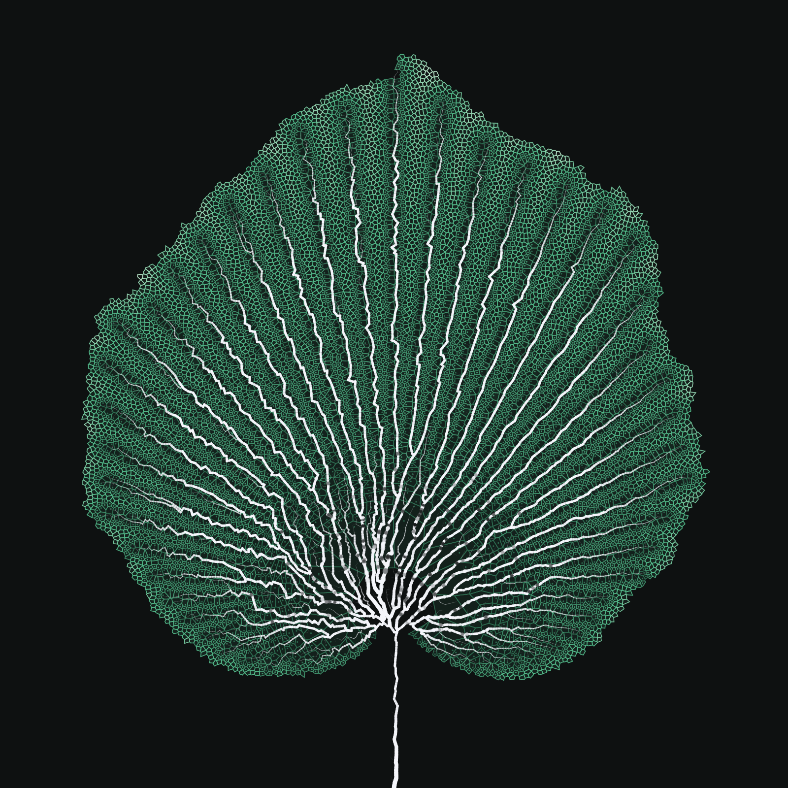 Leaf study #15 static token preview