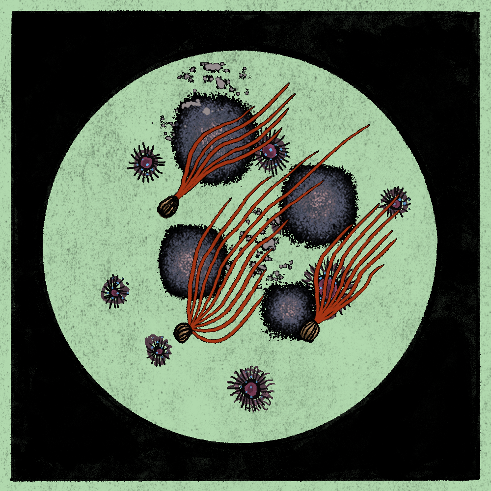 Microbes #22 static token preview