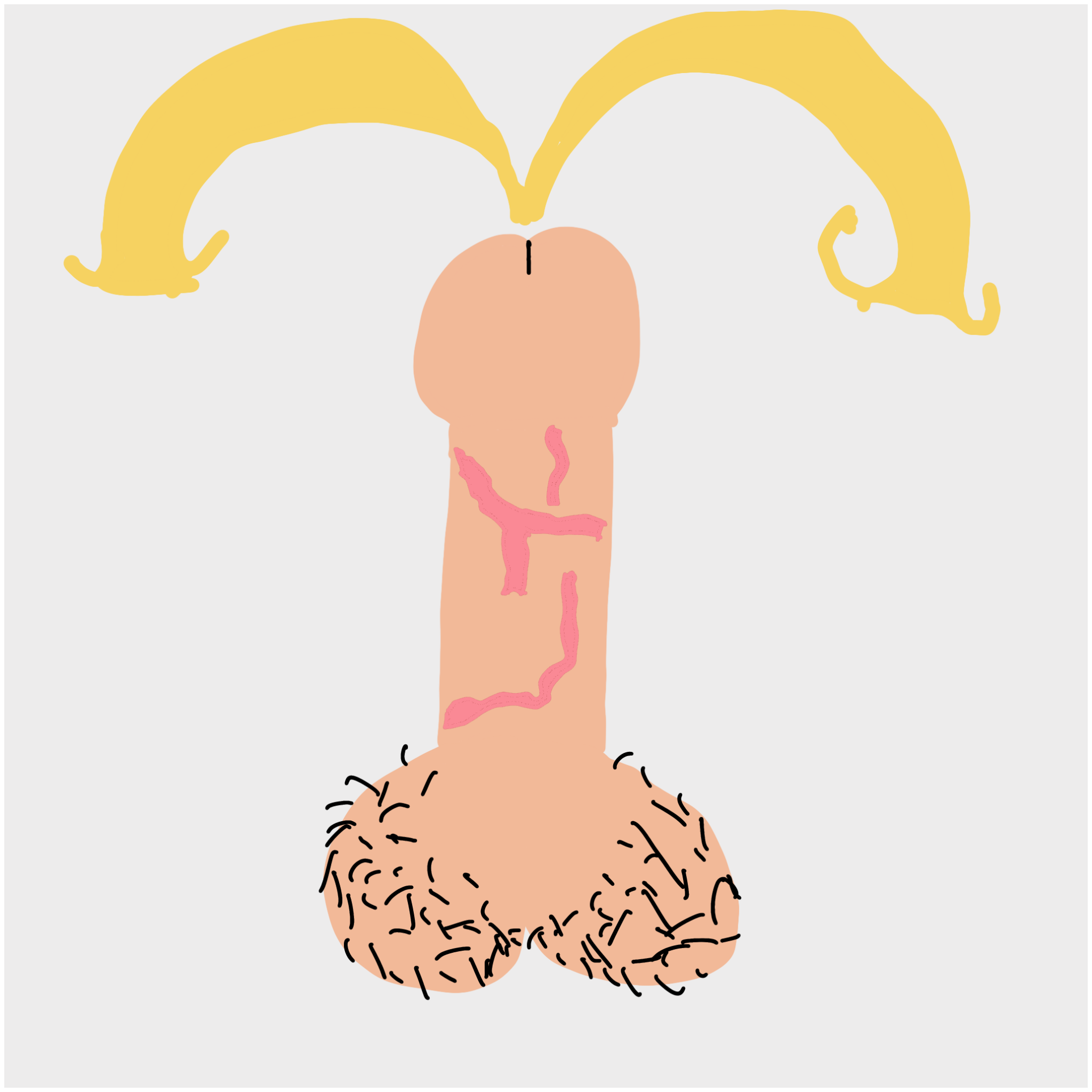 Dickgenerative Art #36 static token preview