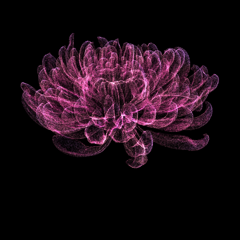 Chrysanthemum Morifolium 30 #114 static token preview