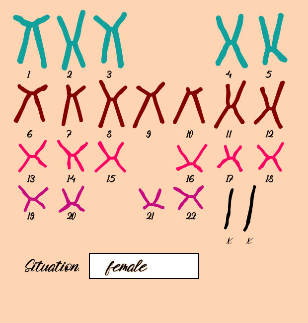"Karyotype" #17 static token preview