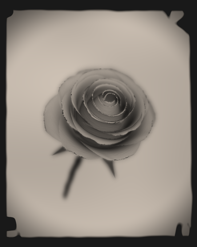 Rose 1851 #14 static token preview