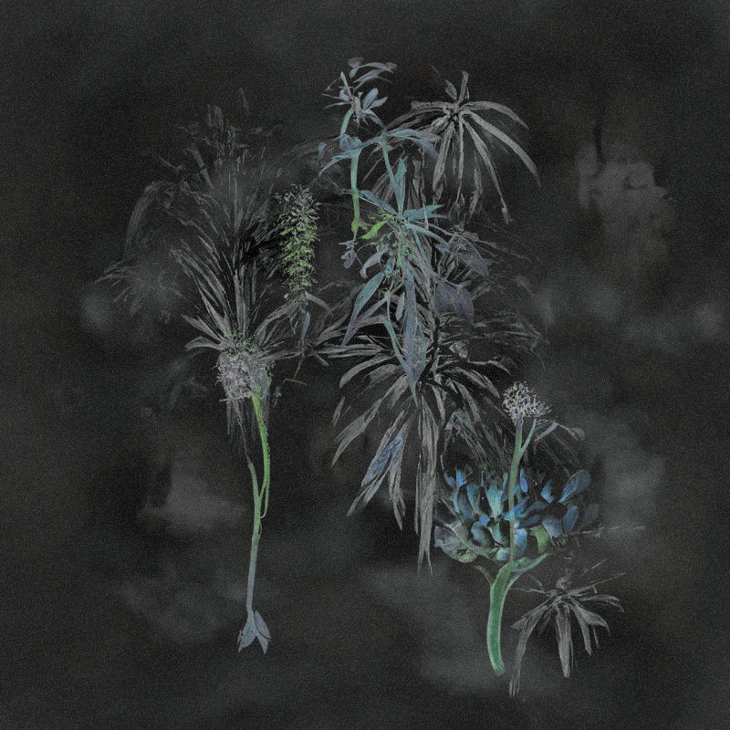 Hauntological Herbarium #7 static token preview
