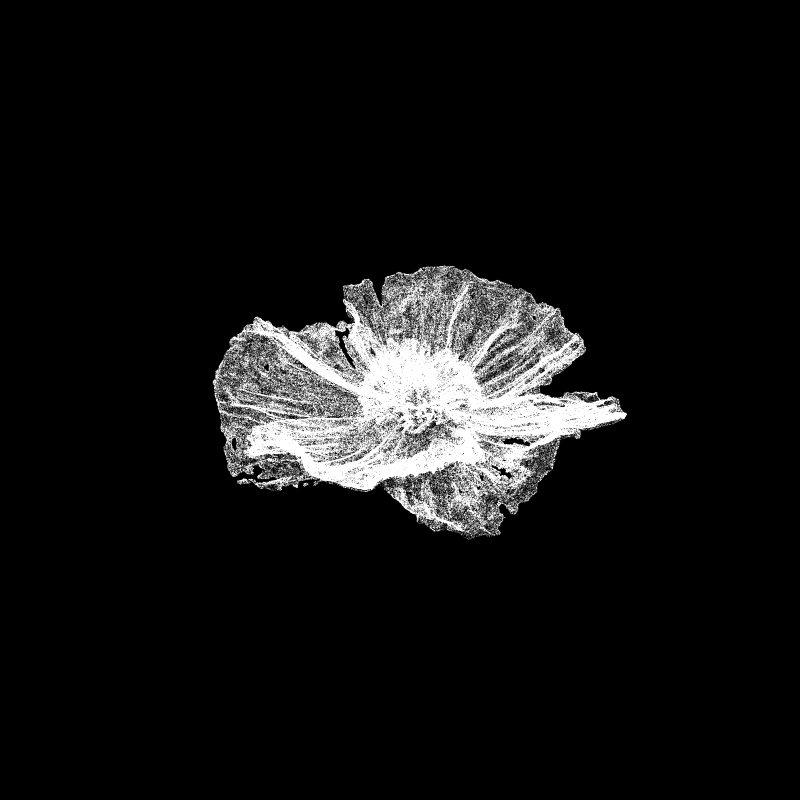 White Poppy 30 #63 static token preview