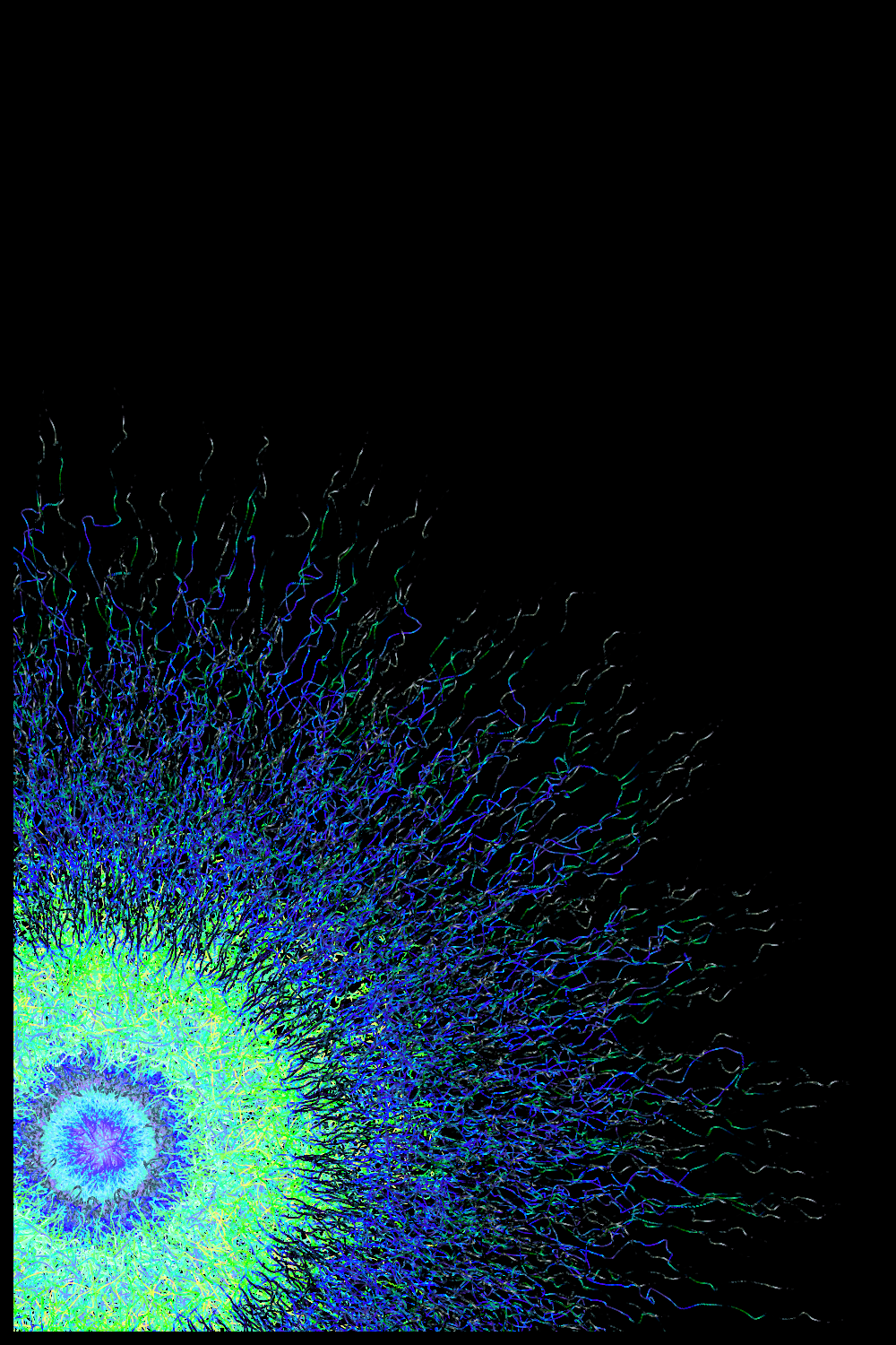 AY. #17 static token preview