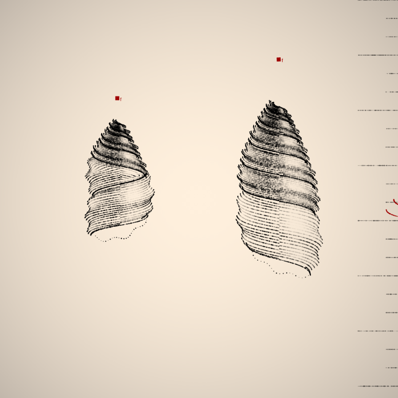 Two Specimen #352 static token preview