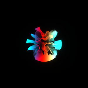 petri project preview
