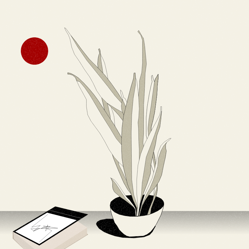 Still Life #2 #12 static token preview