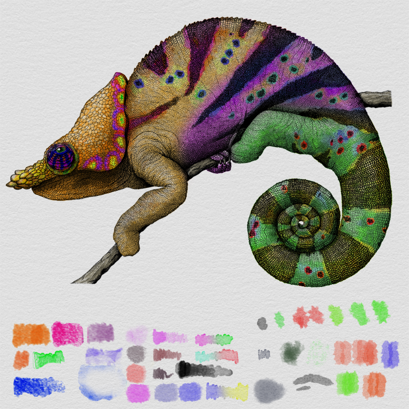 Colorful Cameleon #5 static token preview