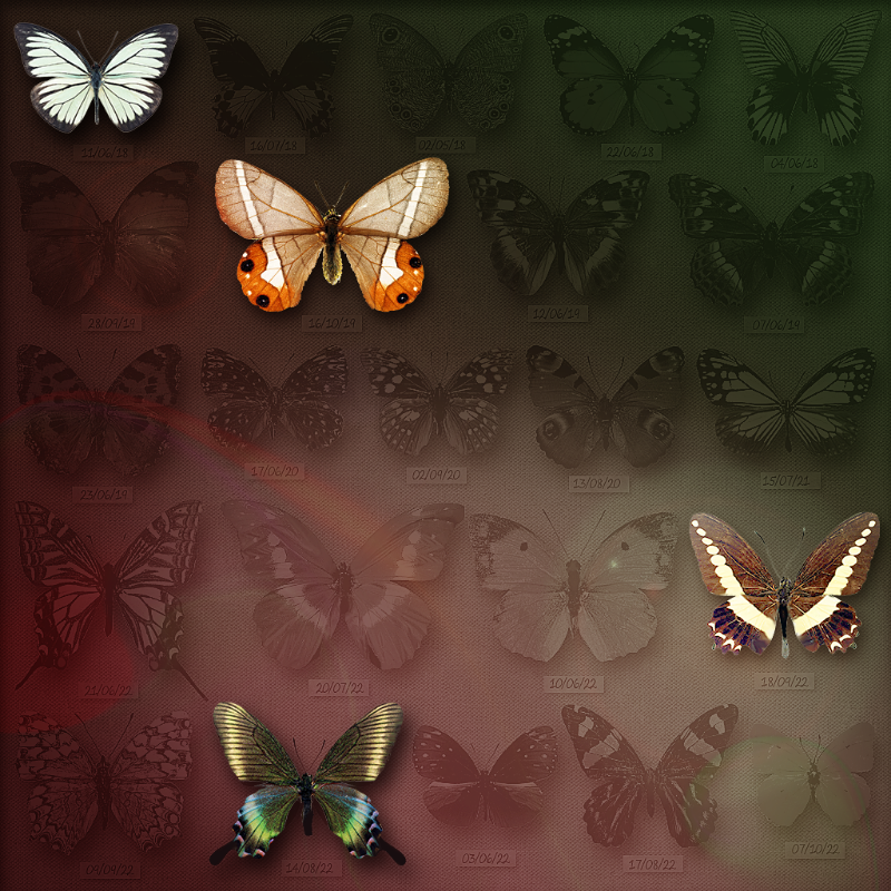 Save Butterfly World #19 static token preview