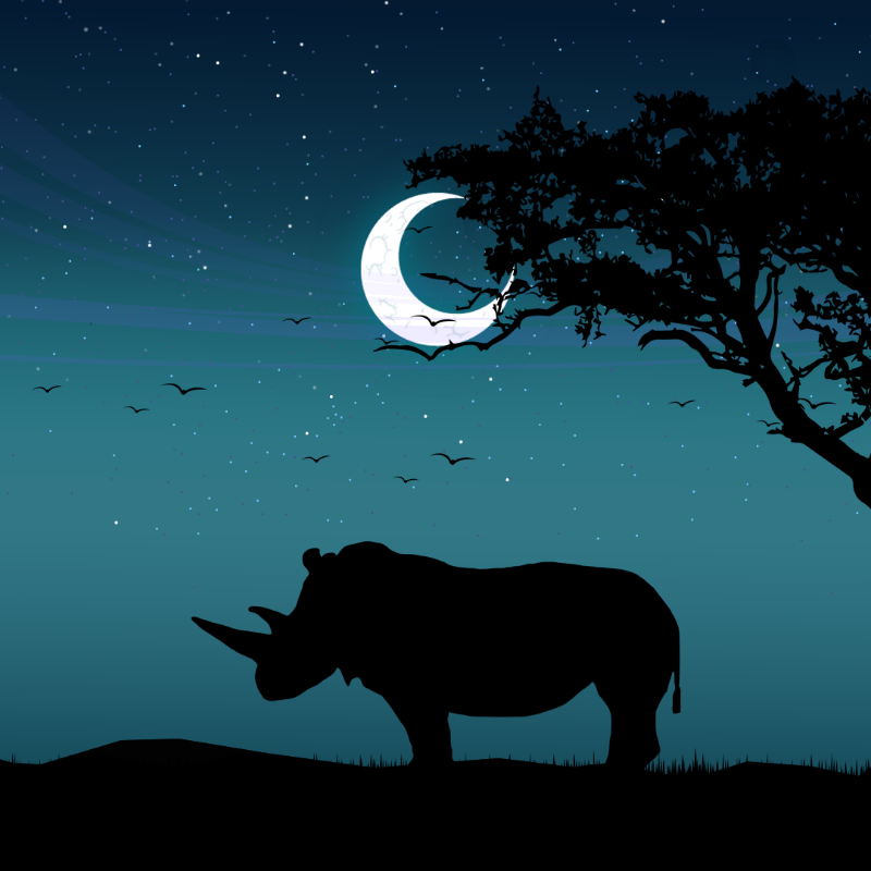 We Care...Rhinoceros #4 static token preview