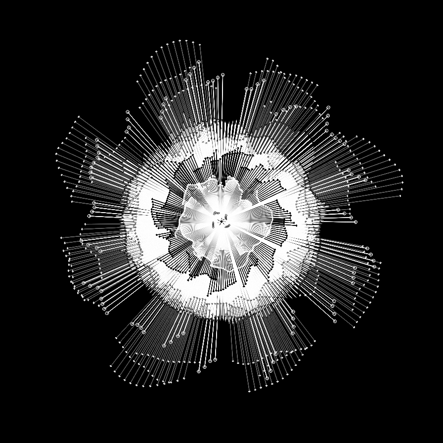 Camellia #13 static token preview