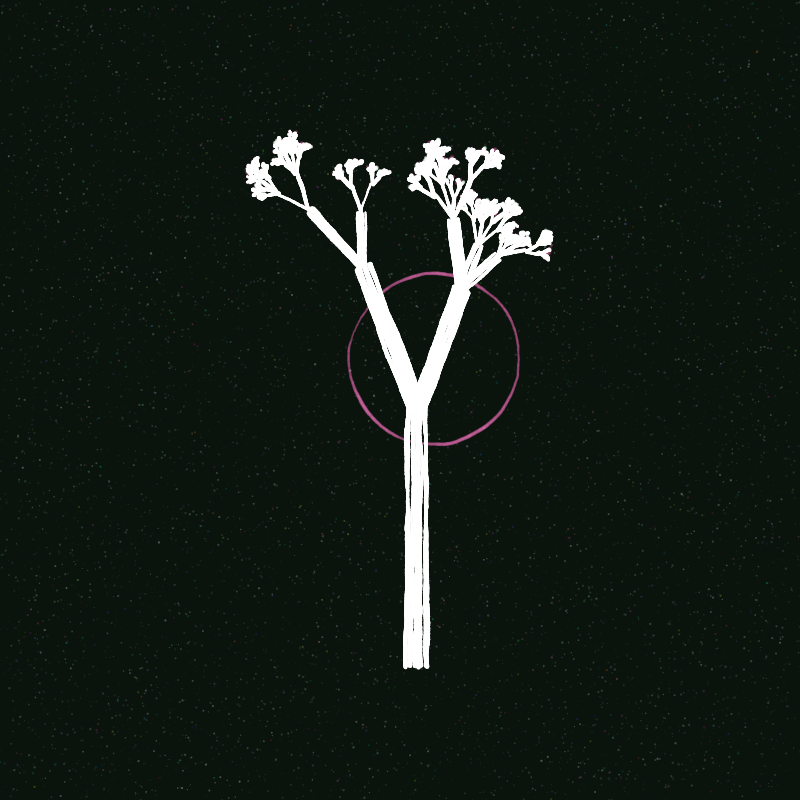 Hand-Drawn Tree #9 static token preview