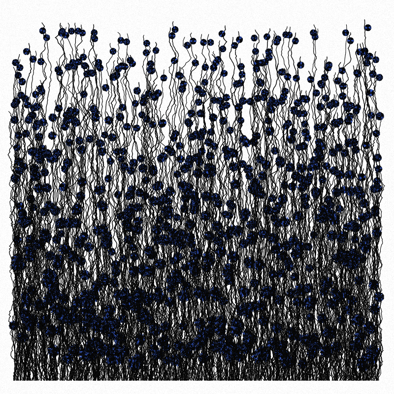Cornflowers #4 static token preview