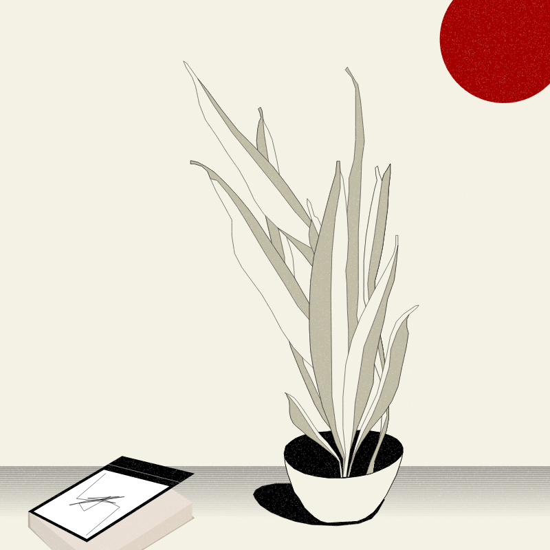 Still Life #2 #8 static token preview