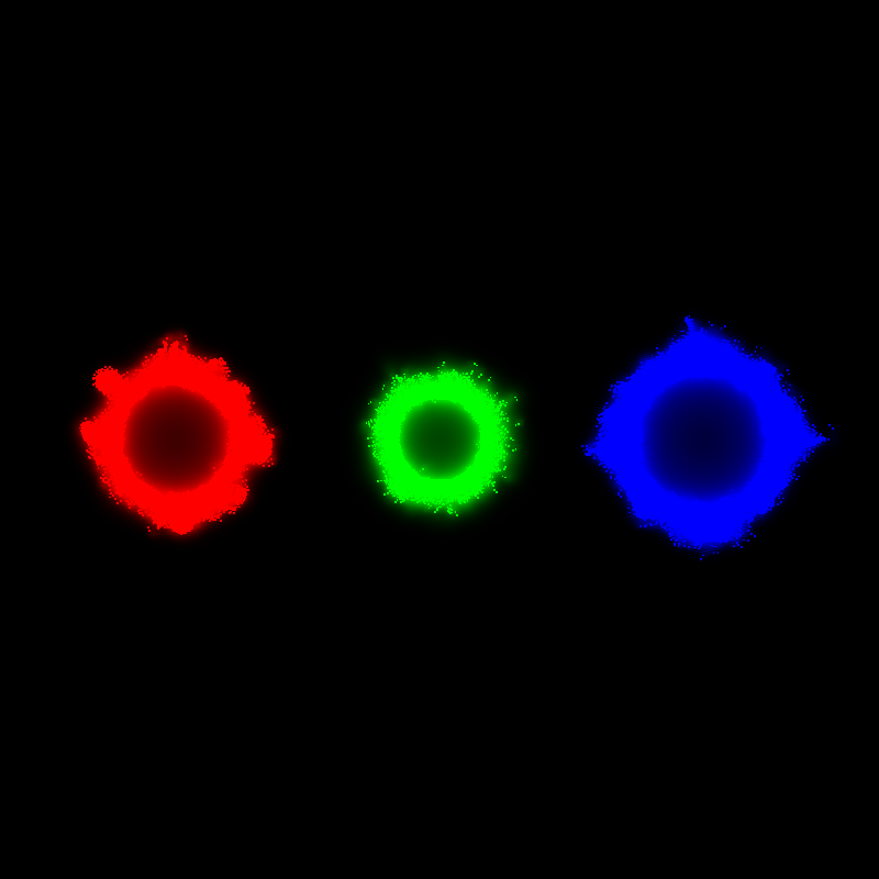 Physarum polycephalum #17 static token preview