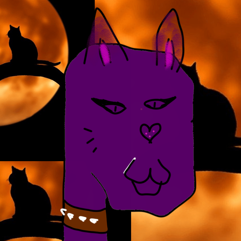 hi CAT lucas #18 static token preview