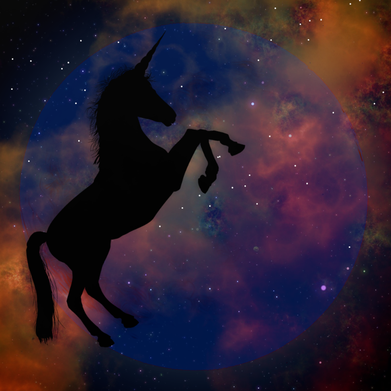 Unicorn #7 static token preview