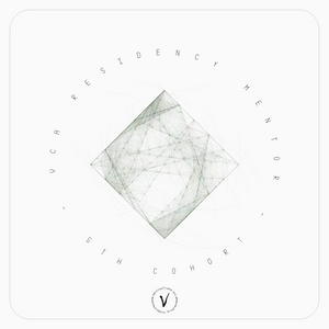 VCA Residency 5th Cohort Mentor project preview