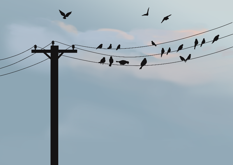 Online Birds #7 static token preview