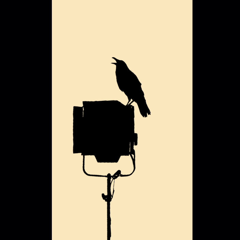 Crow #2 static token preview