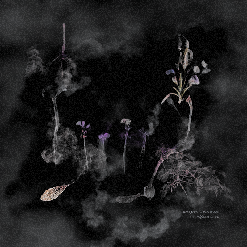Hauntological Herbarium #18 static token preview