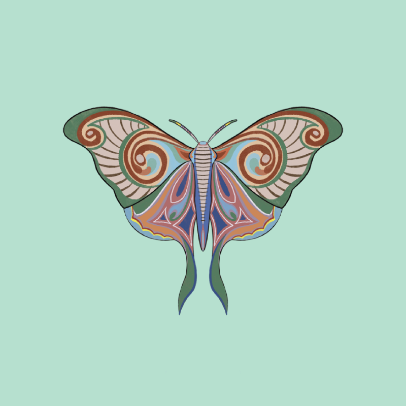 The Moth Experiment 2.0 P2 #23 static token preview