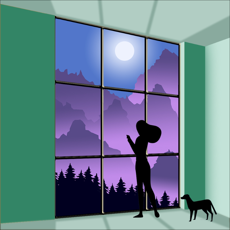 both sides of the Window #14 static token preview