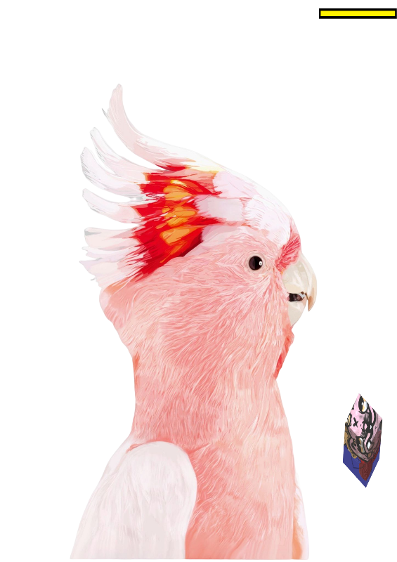 Animaleando #8 static token preview