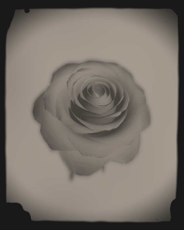 Rose 1851 #16 static token preview