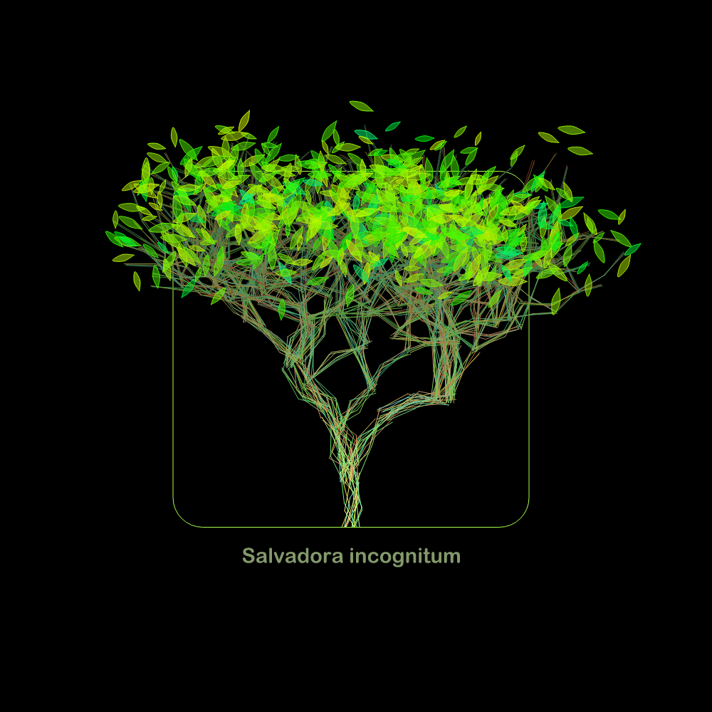 Fluidynamix - Trees #16 static token preview