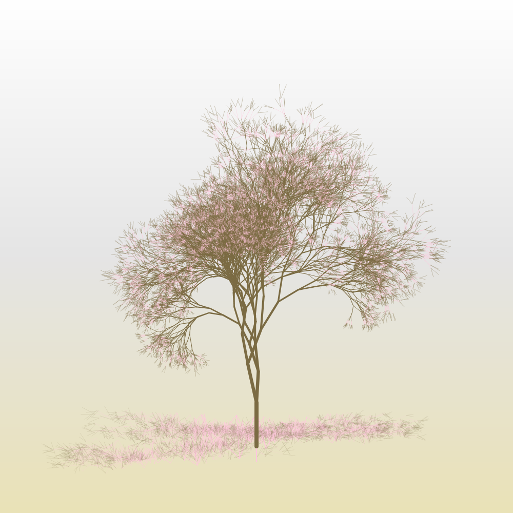 Hanami #25 static token preview