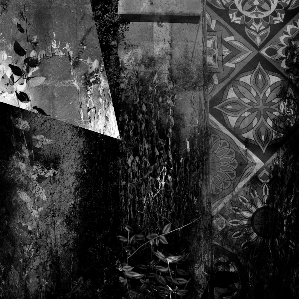 Subjective photography #1 #3 static token preview