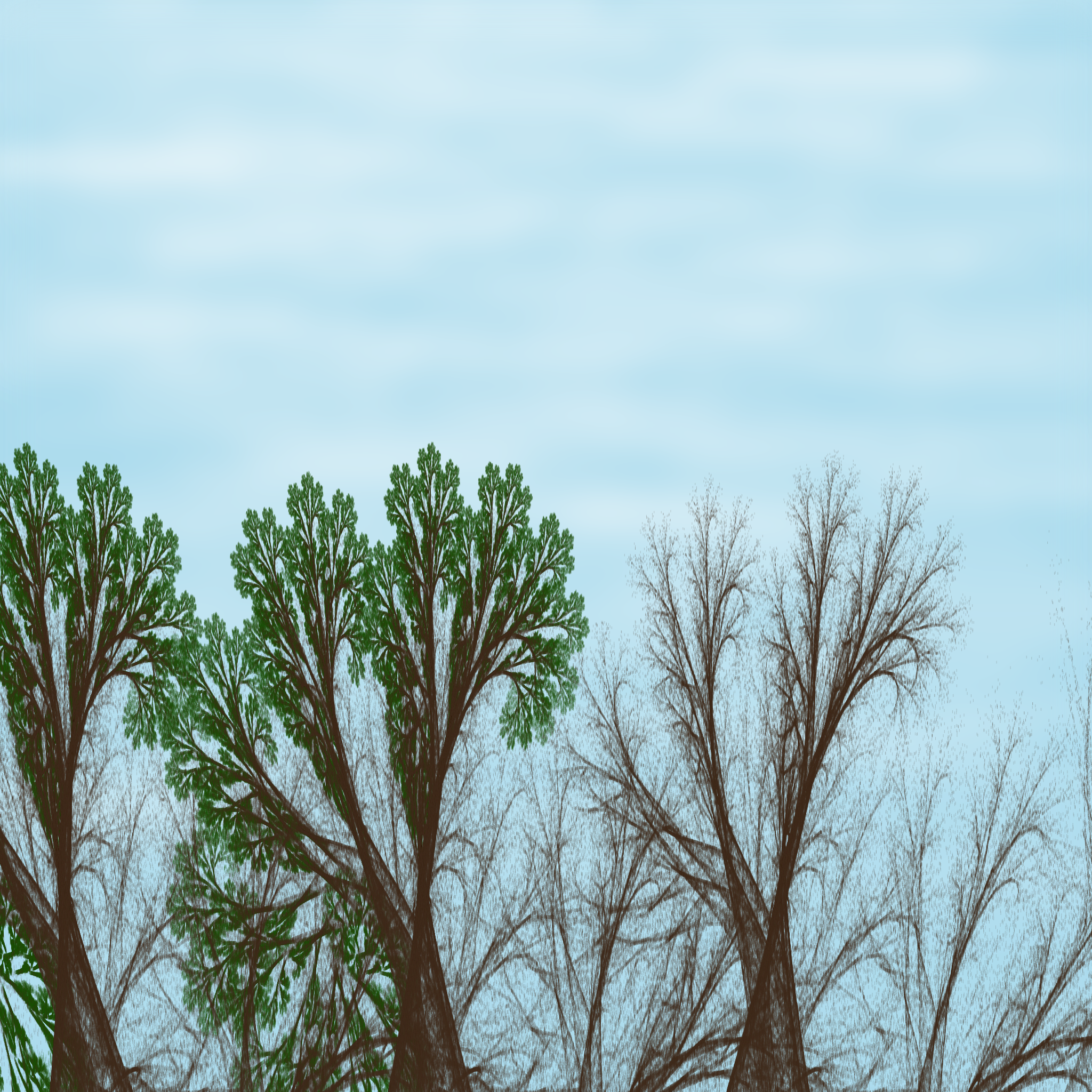 Chaotic Treescape #11 static token preview