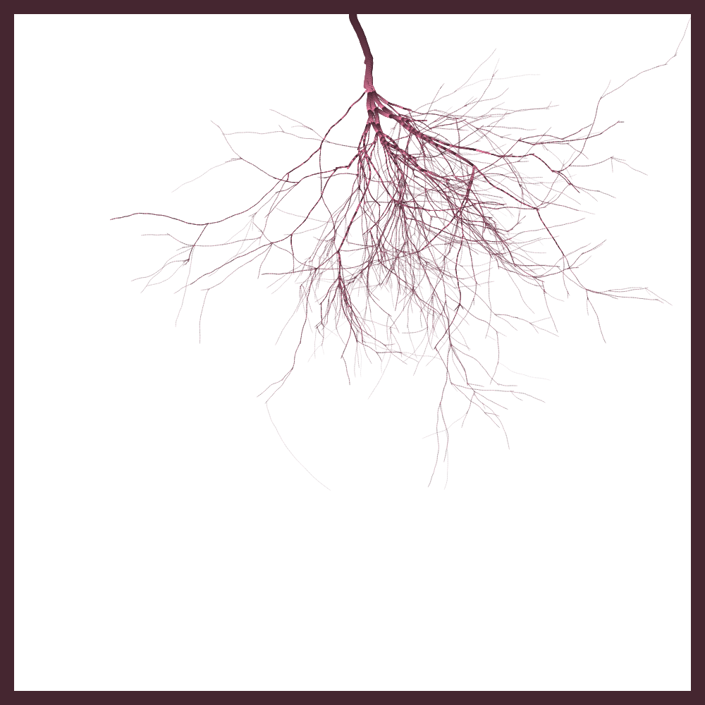 Arbres suspendus #21 static token preview