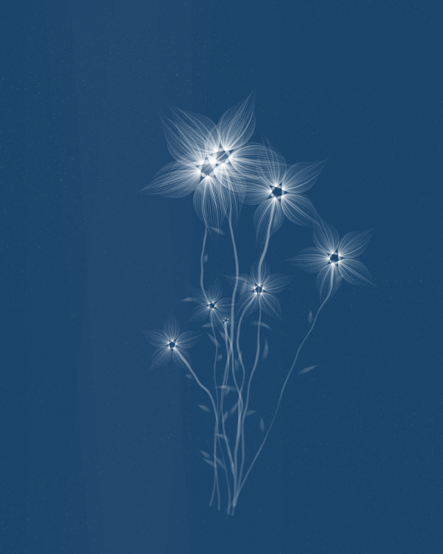 Cyanotypes #13 static token preview