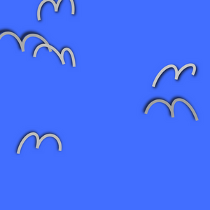Birds project preview