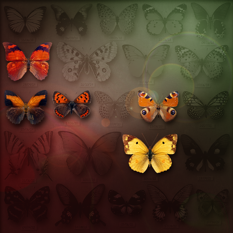 Save Butterfly World #4 static token preview