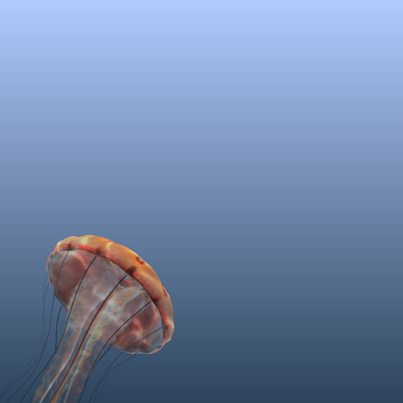 Jellyfish #12 static token preview