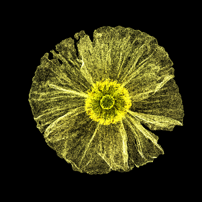 White Poppy 30 #58 static token preview