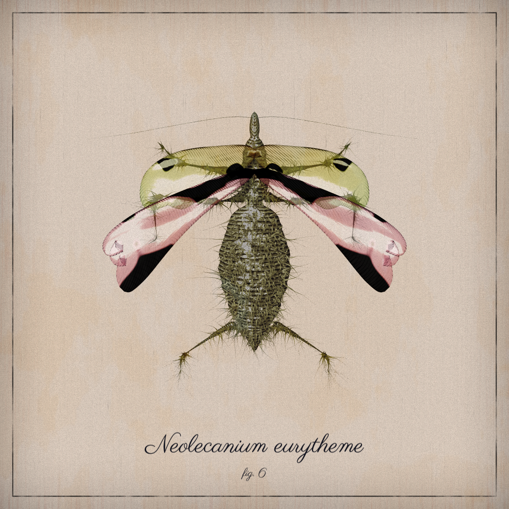 ProcGen Entomology #8 static token preview