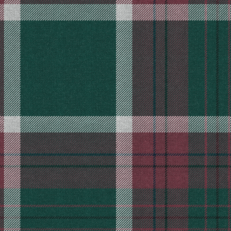 Tartan Cloth #10 static token preview