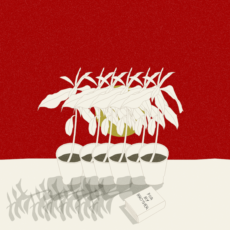 Still Life #12 #23 static token preview