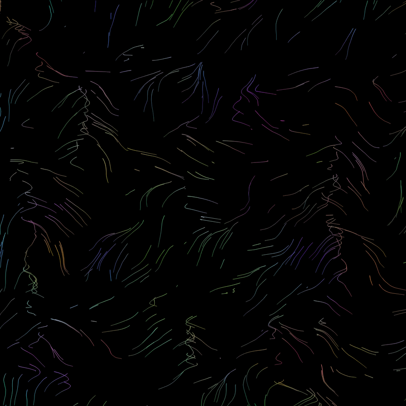 Organic Flow Fields static project preview
