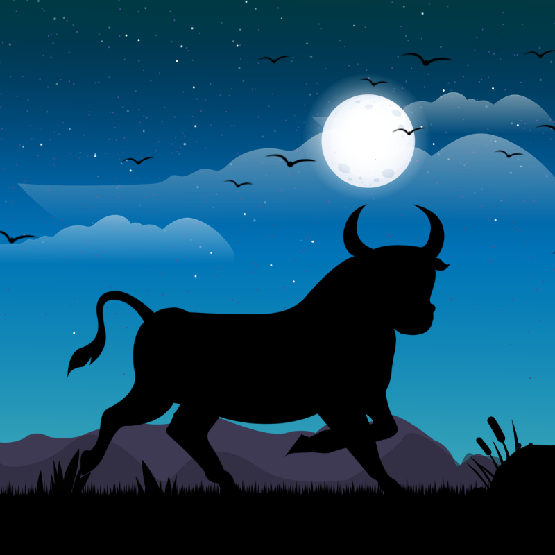 We Care...Bull #9 static token preview